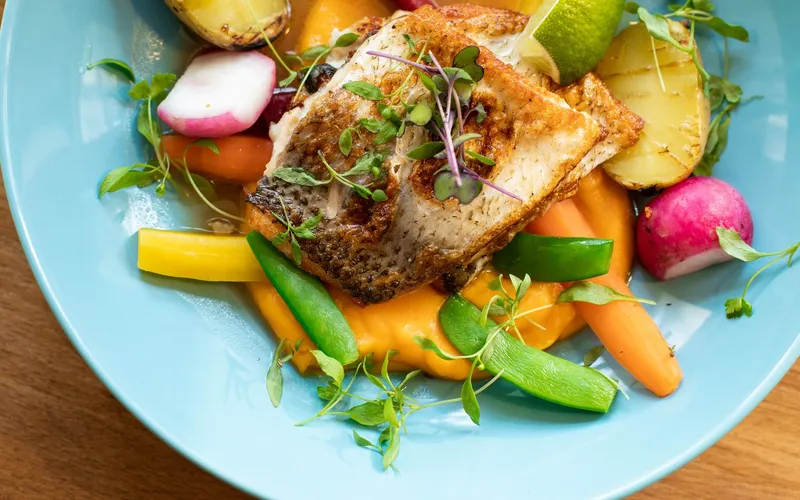 A plate of salmon with fresh vegetables