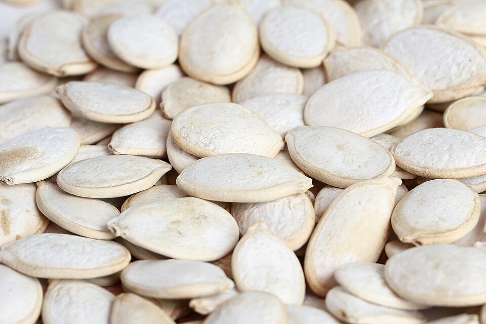 Pumpkin seeds, Cucurbita pepo, the source of the pumpkin seed extract in Flow Care PRO